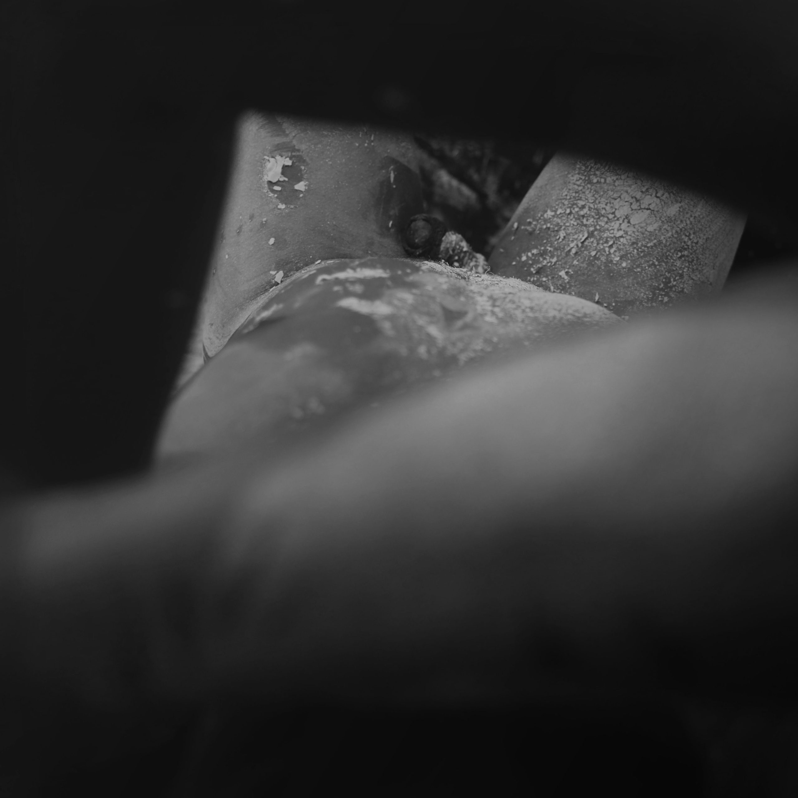 adan_d-copia