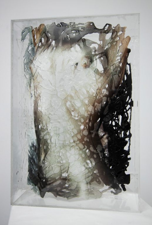 torso_4