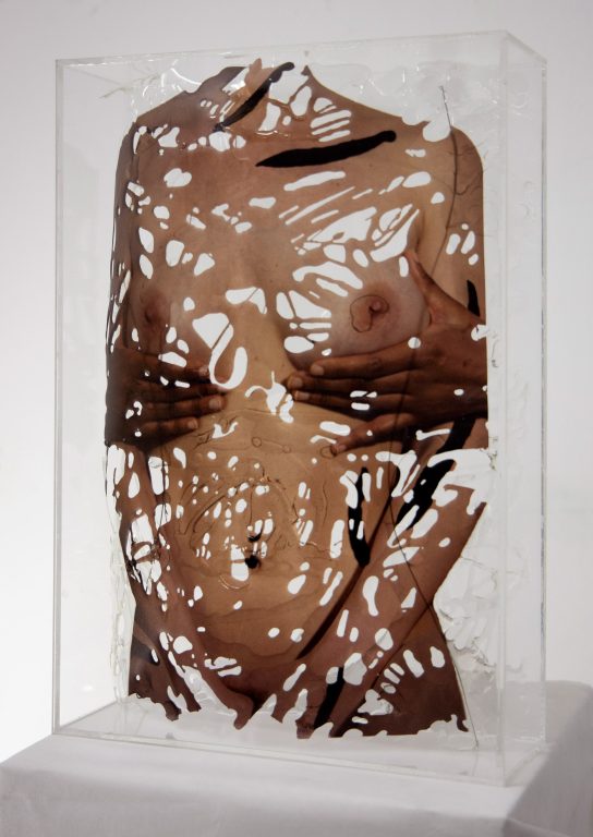 torso_6
